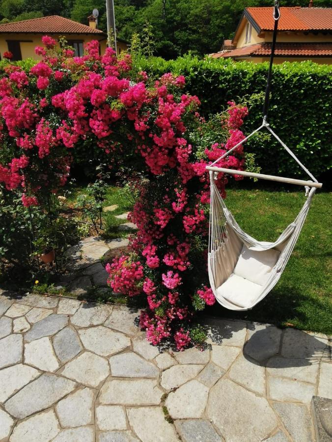 La Rosa Del