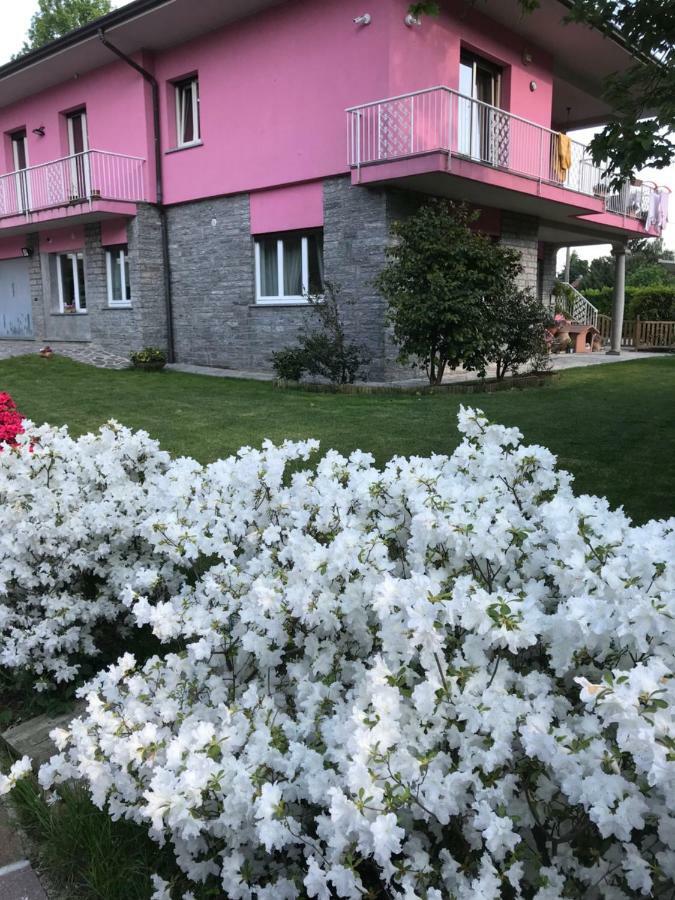 La Rosa Del *